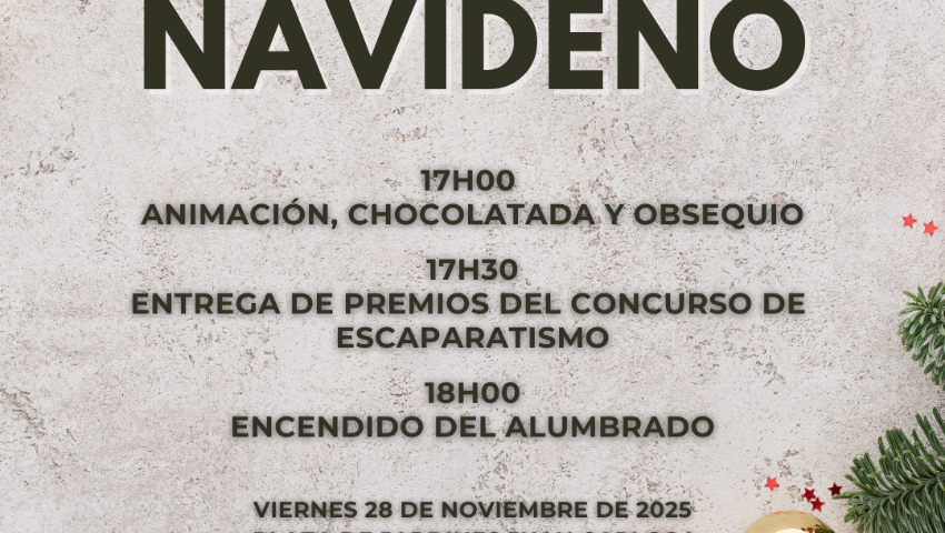 Encendido del alumbrado navideño