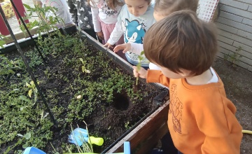 huerto (2) foto del huerto 2