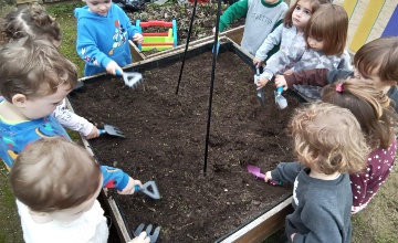 huerto foto del huerto