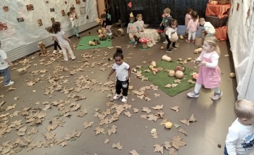 todos los niveles (10) foto de todos los niveles