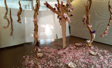 todos los niveles (6) foto de todos los niveles