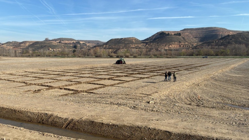 Comienzan las labores de replantación en la zona norte del Cinca Revive