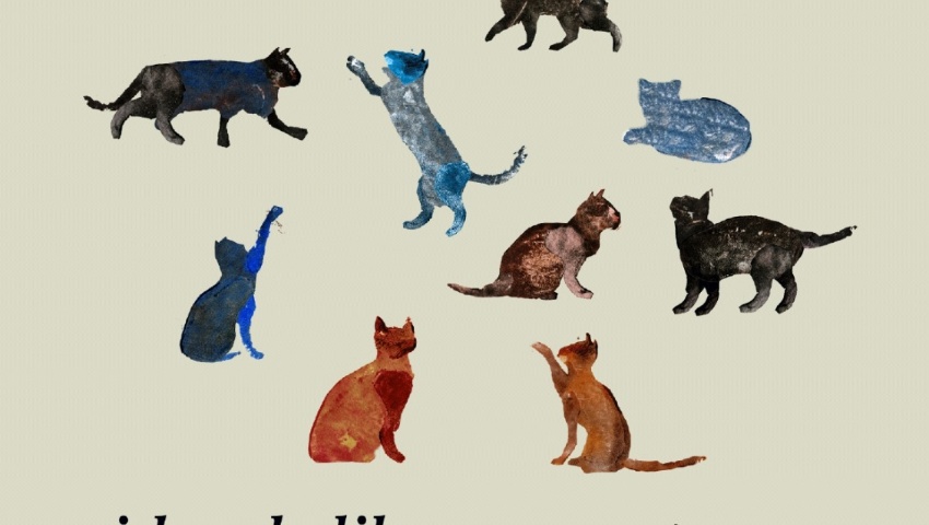 La Compañía Ilustrada decora el Cegonyer y la Pista hasta el próximo 11 de diciembre