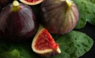 higosdefraga2 foto higosdefraga2