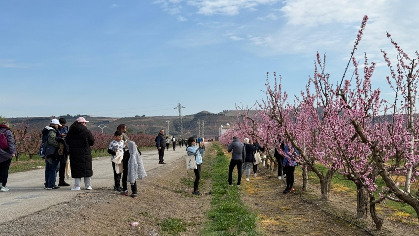 La VIII Ruta de la Floración reúne a 1.100 personas