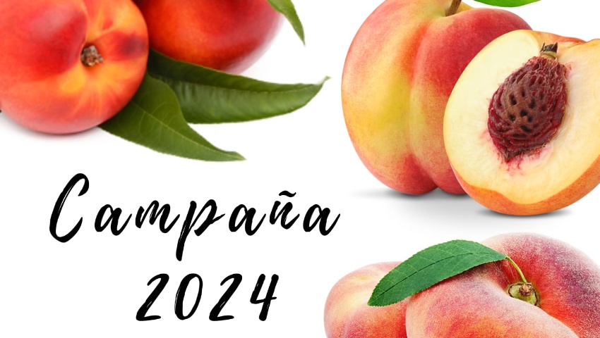 MercoFraga comenzará la campaña 2024 el 3 de junio