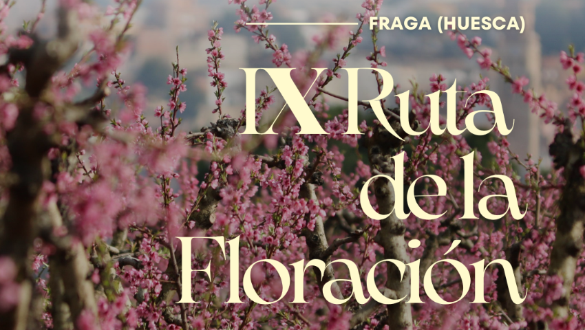 Imagen del bloque número 1