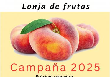 Cartel MercoFraga 2025