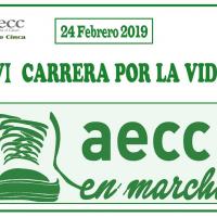 Carrera AECC