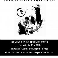 AikidoNavidad