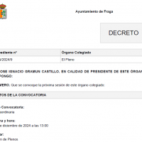 Convocatoria Pleno Extaordinario Diciembre 2024