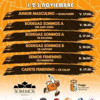 Partidos baloncesto