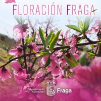 floracion