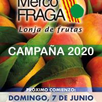 mercofraga