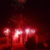 Fuegos artificiales