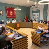 Pleno ordinario de mayo 2025