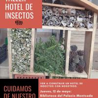 insectos