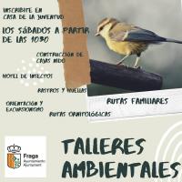 talleres ambientales 