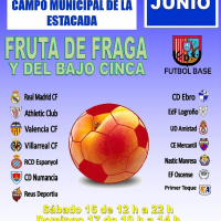 Torneo Fútbol