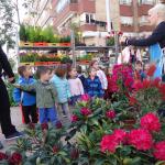 Visita floristeria